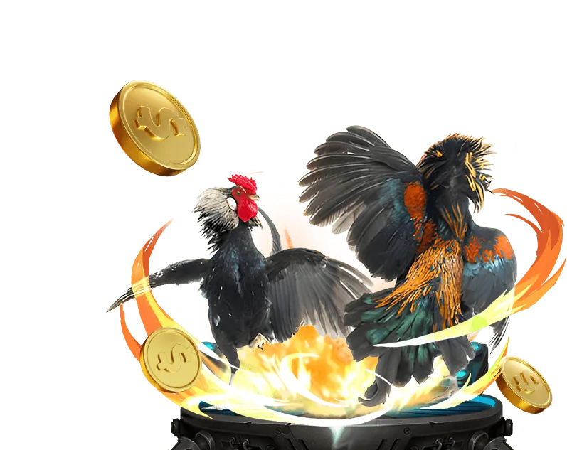 Đội ngũ Vin 88 làm việc với tầm nhìn phát triển